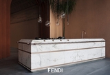 2 FENDI CUCINE_GINGER 2.jpg